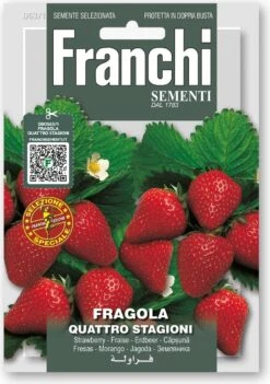 Erdbeeeren "Quattro Stagioni" 5 Erdbeeeren "Quattro Stagioni" -Pflanzensamen Rabatt franchi sementi erdbeeeren quattro stagioni 1 stk 1691996 de