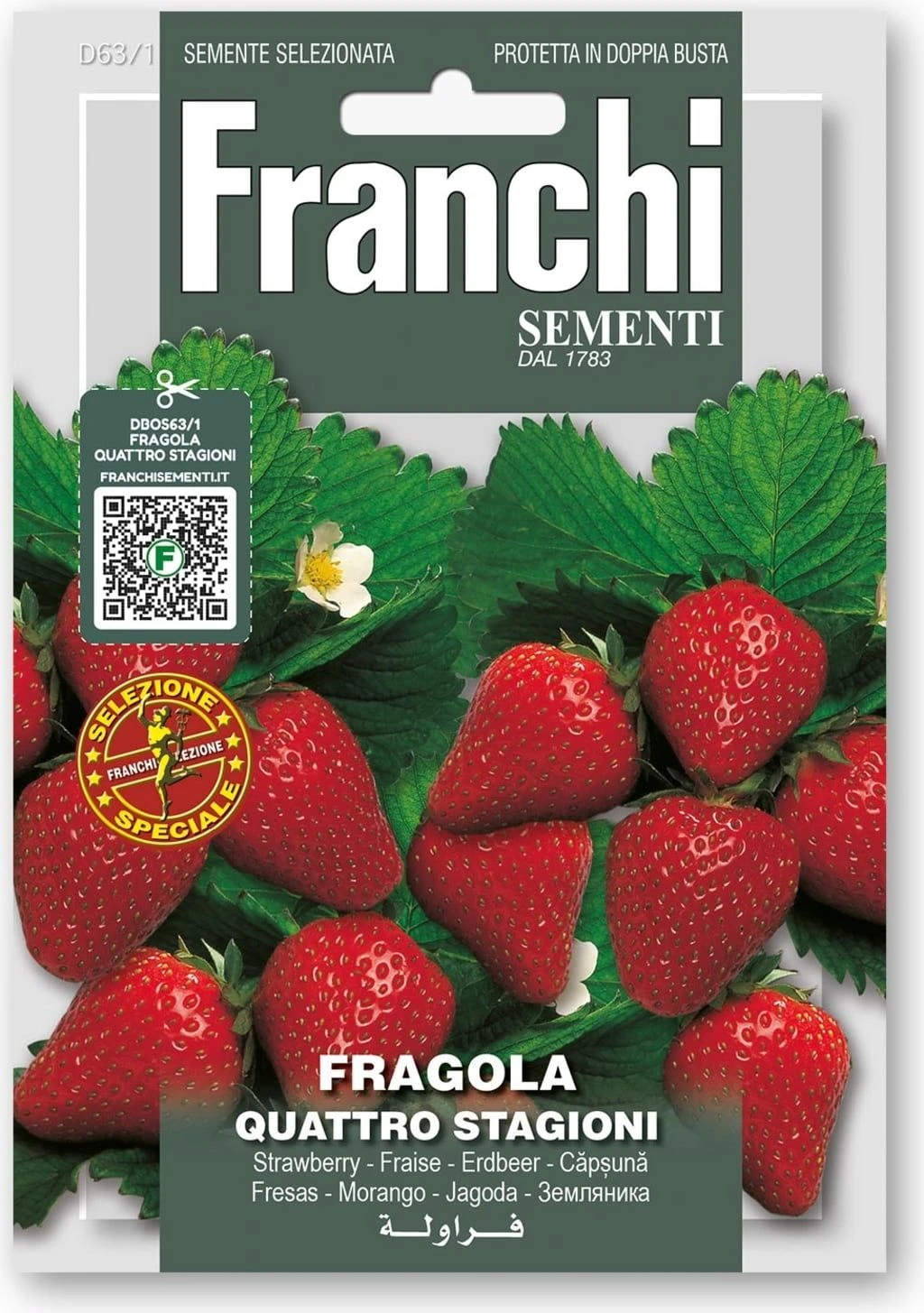 Erdbeeeren "Quattro Stagioni" 4 Erdbeeeren "Quattro Stagioni" – Bild 2