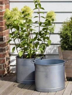 2er Set Verzinkte Pflanzkübel 18 2er Set Verzinkte Pflanzkübel -Pflanzensamen Rabatt garden trading 2er set verzinkte pflanzkuebel 1 set 804952 de