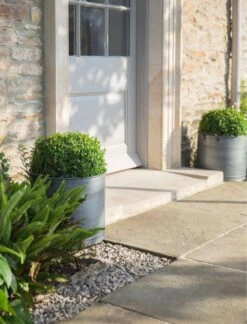 2er Set Verzinkte Pflanzkübel 16 2er Set Verzinkte Pflanzkübel -Pflanzensamen Rabatt garden trading 2er set verzinkte pflanzkuebel 1 set 804980 de