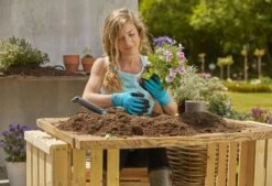 Gardena Pflanz- Und Bodenhandschuh Größe 7 / S -Pflanzensamen Rabatt gardena pflanz und bodenhandschuh groesse 7 s 1 st 1672644 de