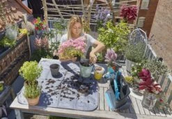 Gardena Pflanzmatte, S -Pflanzensamen Rabatt gardena pflanzmatte 1 stk 715968 de