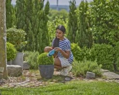 Gardena Set Akku-Grasschere ClassicCut Li + Stiel + Räder -Pflanzensamen Rabatt gardena set akku grasschere classiccut li stiel raeder 1368767 de