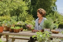 Gardena Softsprüher 0,45 L -Pflanzensamen Rabatt gardena softsprueher 045 l 1 st 1672547 de