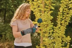 Gardena Strauchpflegehandschuh Größe 8 / M 12 Gardena Strauchpflegehandschuh Größe 8 / M -Pflanzensamen Rabatt gardena strauchpflegehandschuh groesse 8 m 1 st 1672651 de