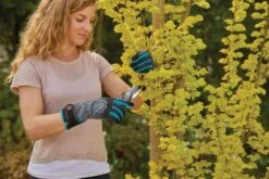 Gardena Strauchpflegehandschuh Größe 8 / M 13 Gardena Strauchpflegehandschuh Größe 8 / M -Pflanzensamen Rabatt gardena strauchpflegehandschuh groesse 8 m 1 st 1672652 de