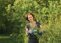 Gardena Strauchpflegehandschuh Größe 8 / M 16 Gardena Strauchpflegehandschuh Größe 8 / M -Pflanzensamen Rabatt gardena strauchpflegehandschuh groesse 8 m 1 st 1672653 de