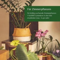 Biologischer Volldünger, 5 Kg -Pflanzensamen Rabatt gartenkorn biologischer vollduenger 1661906 de