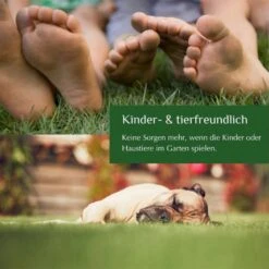 Biologischer Volldünger, 5 Kg -Pflanzensamen Rabatt gartenkorn biologischer vollduenger 1661909 de