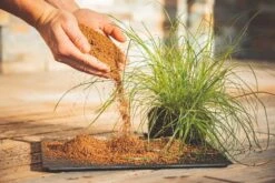 Biologischer Volldünger, 5 Kg -Pflanzensamen Rabatt gartenkorn biologischer vollduenger 1674758 de