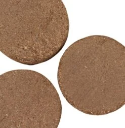 Microgreens Nachfüllpaket "Asian Festival" -Pflanzensamen Rabatt grow grow nut microgreens nachfuellpaket asian festival 1 set 1596304 de