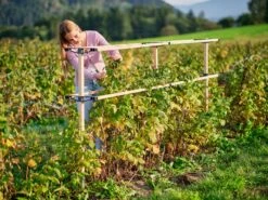 Erweiterung Für Berry Buddy 16 Erweiterung Für Berry Buddy -Pflanzensamen Rabatt gusta garden berry buddy erweiterung 1608418 de