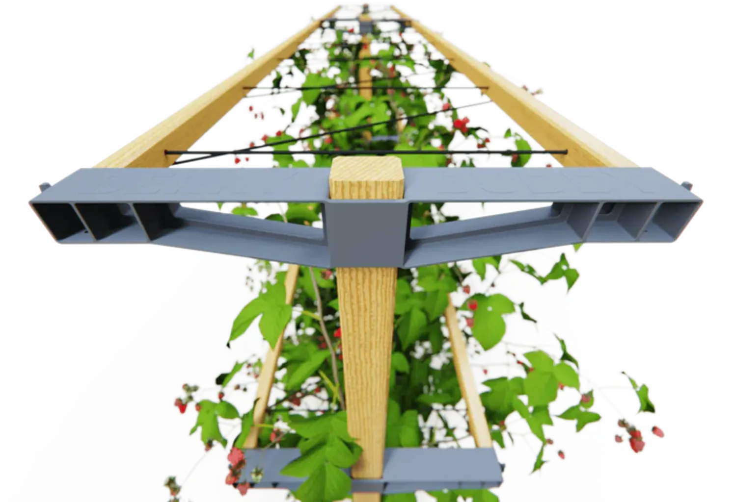 Erweiterung Für Berry Buddy 5 Erweiterung Für Berry Buddy – Bild 3