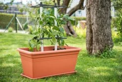 Chili Buddy -Pflanzensamen Rabatt gusta garden chili buddy 1608480 de