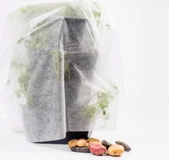 Frostschutzhaube Für Paul Potato X-Large -Pflanzensamen Rabatt gusta garden frostschutzhaube fuer paul potato x large 1 k 909572 de