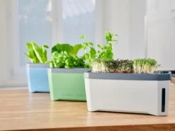 Harry Herbs Kräutertopf - Mit Haube, Weiß -Pflanzensamen Rabatt gusta garden harry herbs kraeutertopf mit haube 1409486 de