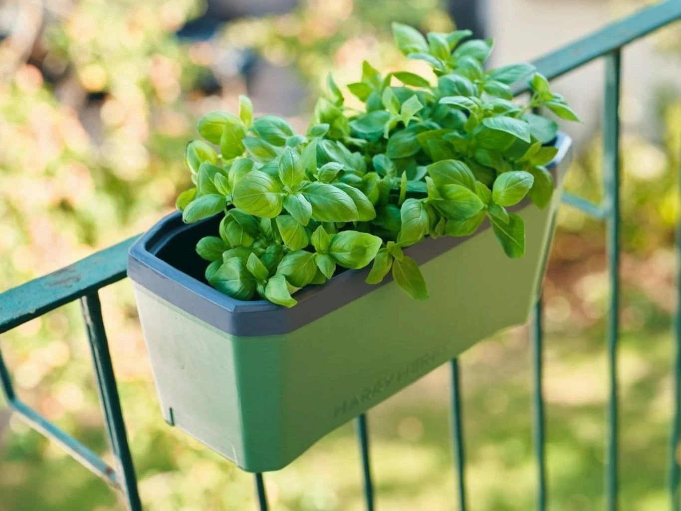 Harry Herbs Kräutertopf - Ohne Haube, Dunkelgrün 3 Harry Herbs Kräutertopf - Ohne Haube, Dunkelgrün