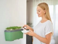 Harry Herbs Kräutertopf - Ohne Haube, Dunkelgrün 11 Harry Herbs Kräutertopf - Ohne Haube, Dunkelgrün -Pflanzensamen Rabatt gusta garden harry herbs kraeutertopf ohne haube temno zelena 1680758 de