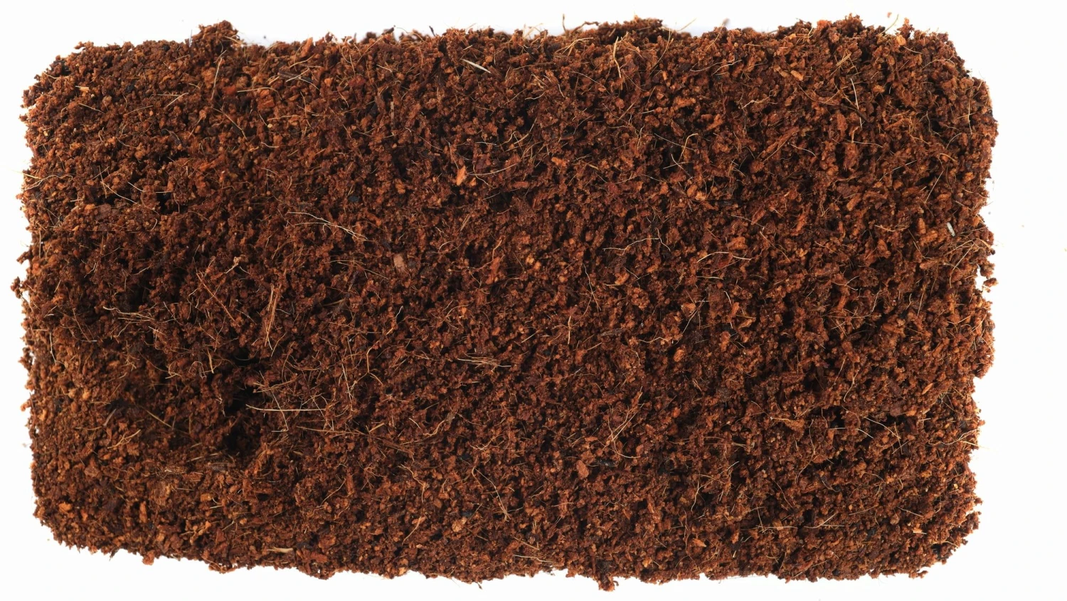 Kokoserde 4 Kokoserde – Bild 2