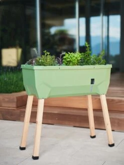 Sammy Salad Hochbeet - Ohne Haube, Dunkelgrün -Pflanzensamen Rabatt gusta garden sammy salad hochbeet ohne haube temno zelena 1621320 de