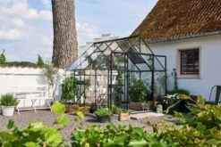 Halls Gewächshaus "Qube+" Schwarz, 6,6 M² (88) -Pflanzensamen Rabatt halls gewaechshaus qube schwarz 66 m2 88 1681722 de