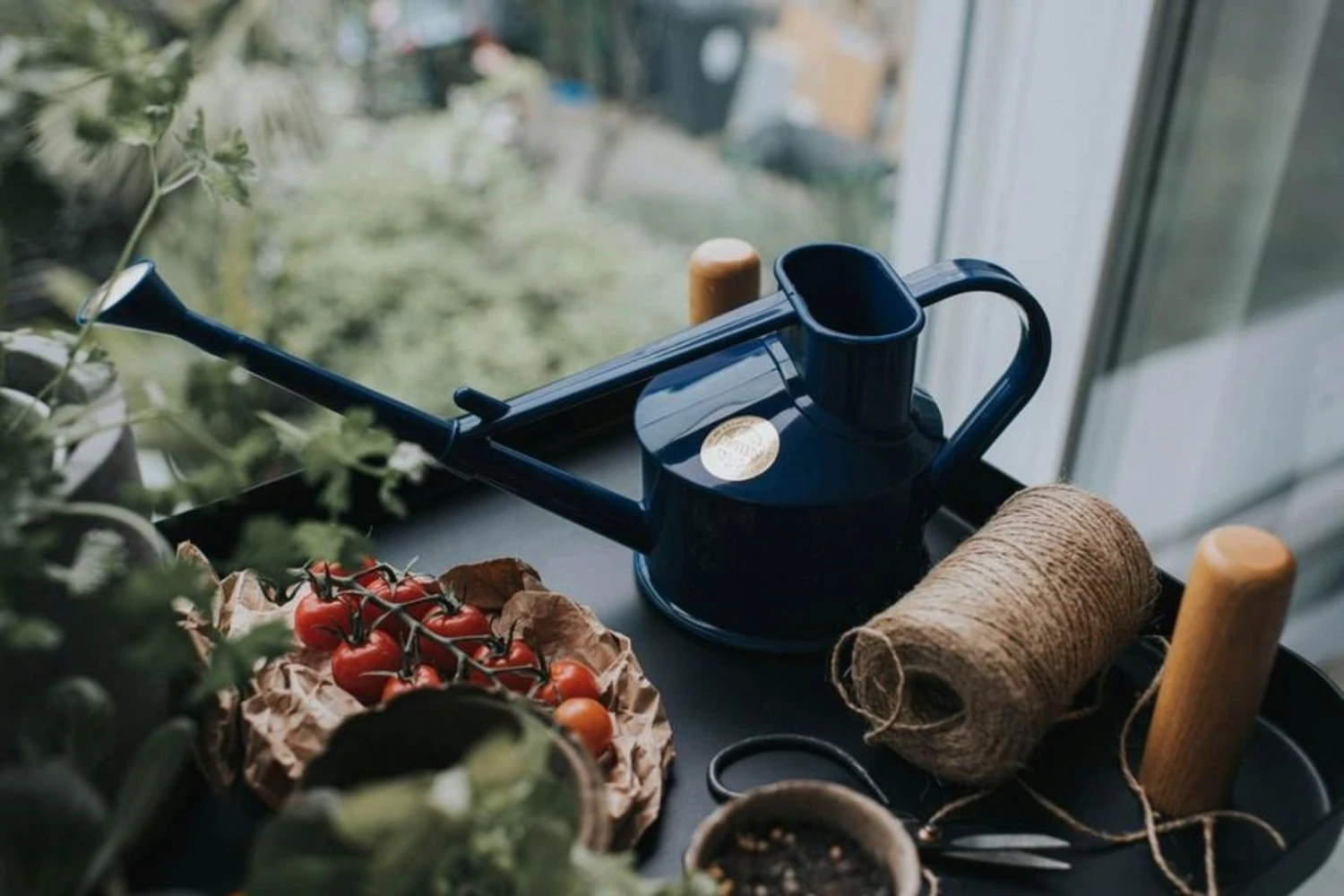 Indoor-Gießkanne "The Langley Sprinkler" - 0.7 L, Blau 3 Indoor-Gießkanne "The Langley Sprinkler" - 0.7 L, Blau