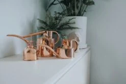 Indoor Kupfer Gießkanne "The Fazeley Flow", 1 Liter -Pflanzensamen Rabatt haws indoor kupfer giesskanne the fazeley flow 1 l 1669402 de