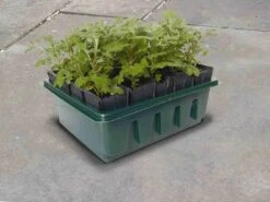 Anzuchtschale "Compact Rootrainers" -Pflanzensamen Rabatt haxnicks anzuchtschale compact rootrainers 1 st 1665994 de