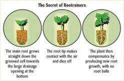 Anzuchtschale "Rapid Rootrainers"