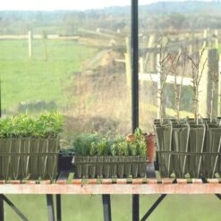 Anzuchtschale "Rapid Rootrainers" -Pflanzensamen Rabatt haxnicks anzuchtschale rapid rootrainers 1 st 1665991 de