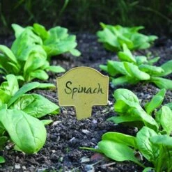 Bambus-Pflanzschilder -Pflanzensamen Rabatt haxnicks bambus pflanzschilder 1 set 1670477 de