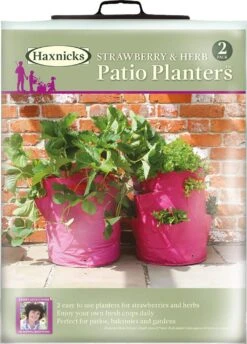 Erdbeer- & Kräuterpflanztasche Im Set, 2 Stück -Pflanzensamen Rabatt haxnicks erdbeer kraeuterpflanztasche im set 2 st 1666034 de