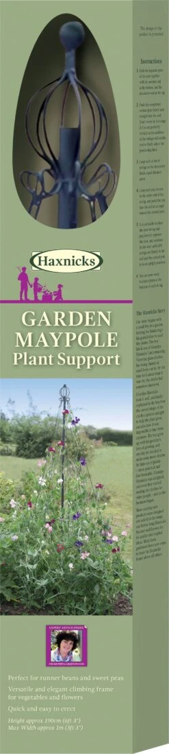 Garten-Maibaum -Pflanzensamen Rabatt haxnicks garten maibaum 1 st 1666108 de