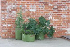 Gemüsepflanztaschen Im 3er Set, 3 Stück 9 Gemüsepflanztaschen Im 3er Set, 3 Stück -Pflanzensamen Rabatt haxnicks gemuesepflanztaschen im 3er set 3 st 1666015 de