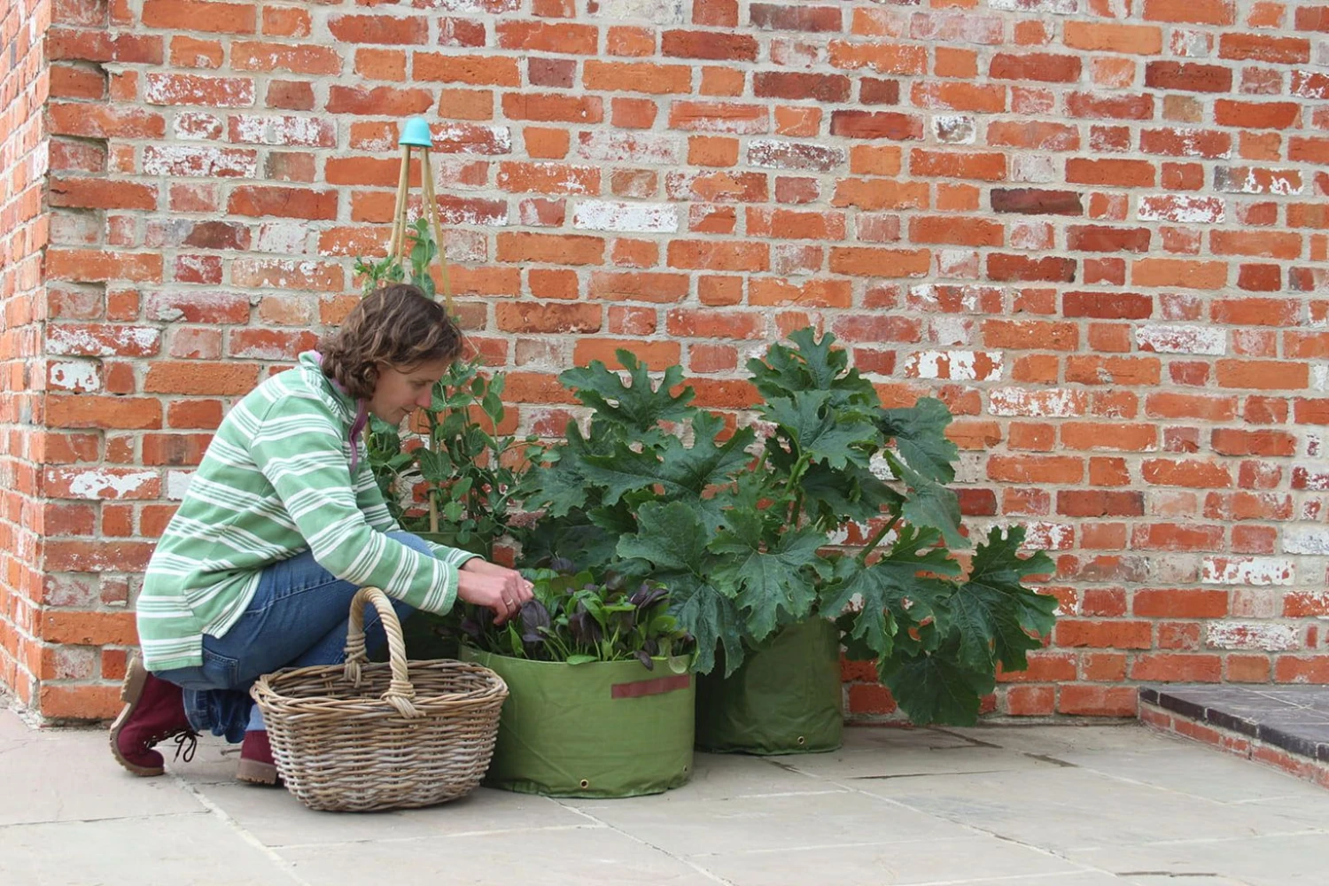 Gemüsepflanztaschen Im 3er Set, 3 Stück 5 Gemüsepflanztaschen Im 3er Set, 3 Stück – Bild 3