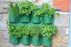 Hängender Kräutergarten -Pflanzensamen Rabatt haxnicks haengender kraeutergarten 1 st 1656013 de