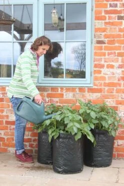 Kartoffelpflanztaschen Im 3er Set, 3 Stück 10 Kartoffelpflanztaschen Im 3er Set, 3 Stück -Pflanzensamen Rabatt haxnicks kartoffelpflanztaschen im 3er set 3 st 1666020 de