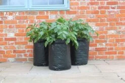 Kartoffelpflanztaschen Im 3er Set, 3 Stück