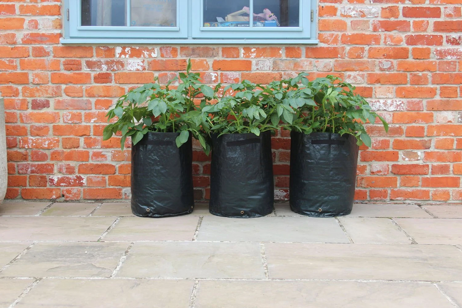 Kartoffelpflanztaschen Im 3er Set, 3 Stück 4 Kartoffelpflanztaschen Im 3er Set, 3 Stück – Bild 2