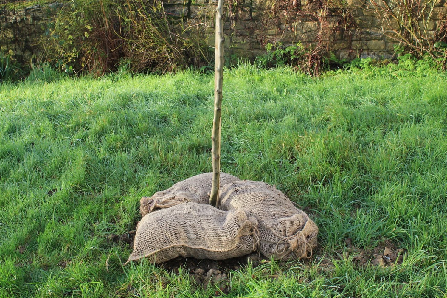 Kompostsäcke, 3 Stück 3 Kompostsäcke, 3 Stück