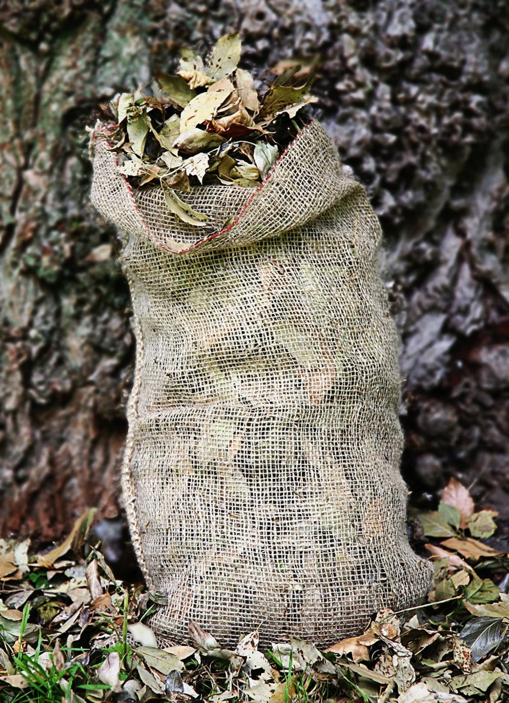 Kompostsäcke, 3 Stück 7 Kompostsäcke, 3 Stück – Bild 5