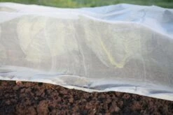 Micromesh Prepack -Pflanzensamen Rabatt haxnicks micromesh prepack 1 st 1666096 de