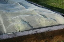 Micromesh Prepack -Pflanzensamen Rabatt haxnicks micromesh prepack 1 st 1666097 de