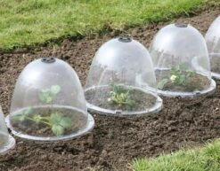 Originale Viktorianische Pflanzglocke, 3 Stück -Pflanzensamen Rabatt haxnicks originale viktorianische pflanzglocke 3 st 1666004 de