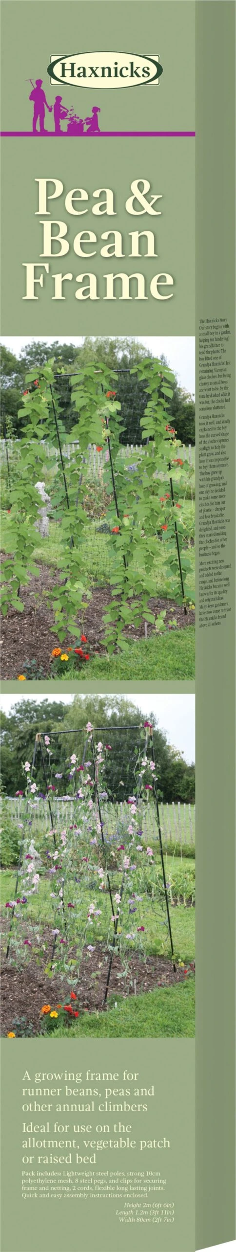 Rankhilfe Für Bohnen, Erbsen & Zuckererbsen 3 Rankhilfe Für Bohnen, Erbsen & Zuckererbsen