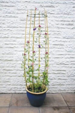 Rankhilfe Für Stauden, 2 Stück -Pflanzensamen Rabatt haxnicks rankhilfe fuer stauden 2 st 1666128 de