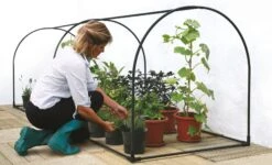 Stangenrahmen Für Früh- & Hochbeet -Pflanzensamen Rabatt haxnicks stangenrahmen fuer frueh hochbeet 1 st 1666064 de