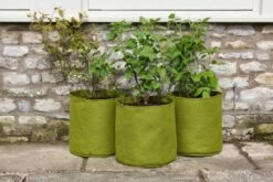 Vigoroot Pflanztaschen Im 3er Set, 5 L (3 Stück) -Pflanzensamen Rabatt haxnicks vigoroot pflanztaschen im 3er set 1652244 de