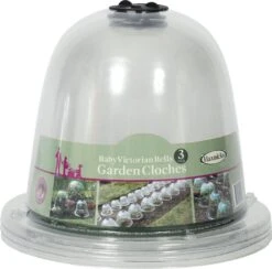 Viktorianische Pflanzglocke "Baby", 3 Stück -Pflanzensamen Rabatt haxnicks viktorianische pflanzglocke baby 3 st 1665998 de