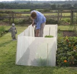 Wind- & Wetterschutz -Pflanzensamen Rabatt haxnicks wind wetterschutz 1 st 1653591 de